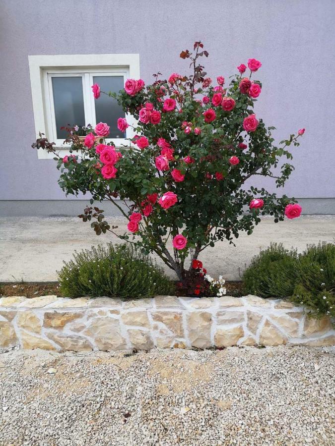Holiday Home Lucić Lozovac Zewnętrze zdjęcie